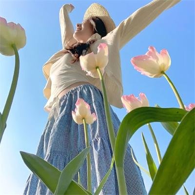 红袖添香